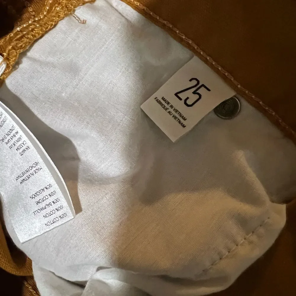BDG Canvas Carpenter Pants Size 26